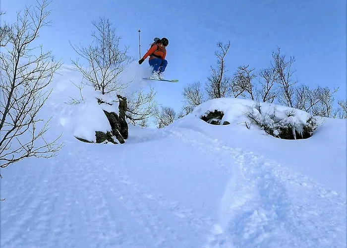Ski Inn Ski Out Best Holiday Apartments I Oppdal