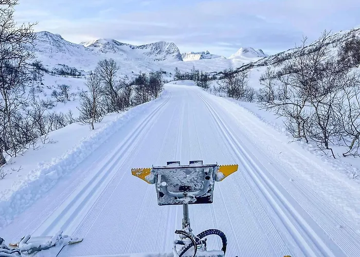 Ski Inn Ski Out Best Holiday Apartments I Oppdal